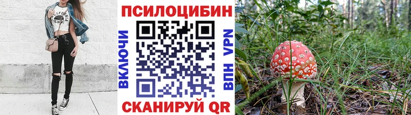 Купить  Медвежьегорск  Галлюциногенные грибы Cubensis 